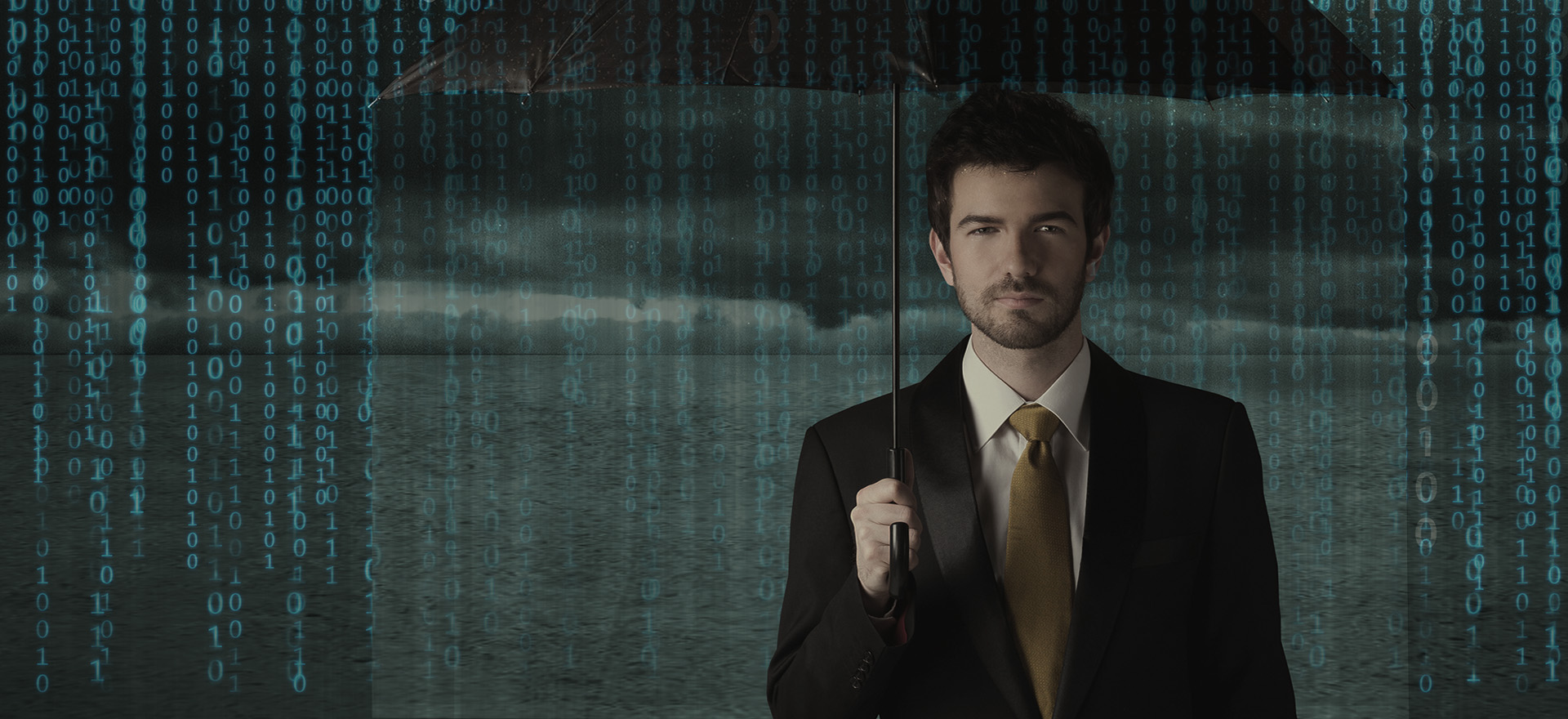 VIP Protech VIP Protection Technologies